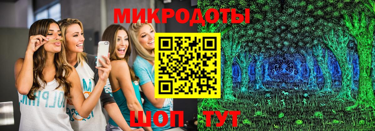 Псилоцибиновые грибы Psilocybine cubensis Ефремов